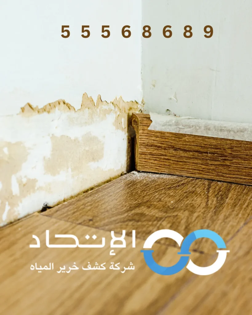 كشف تسربات المياه بالخيران باستخدام الكاميرا الحرارية بدون تكسير